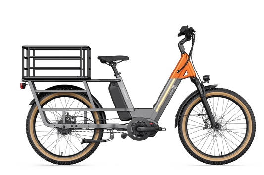 Letrigo Minivan- Rental
