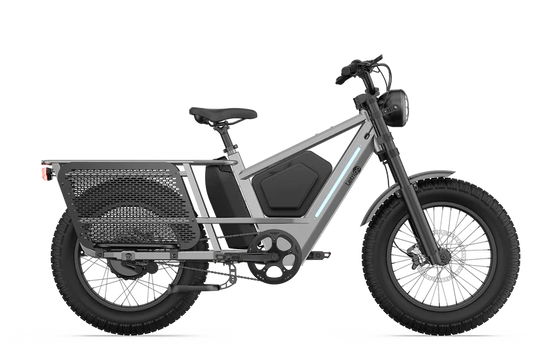 Letrigo KODA Fat Tire Cargo E-Bike
