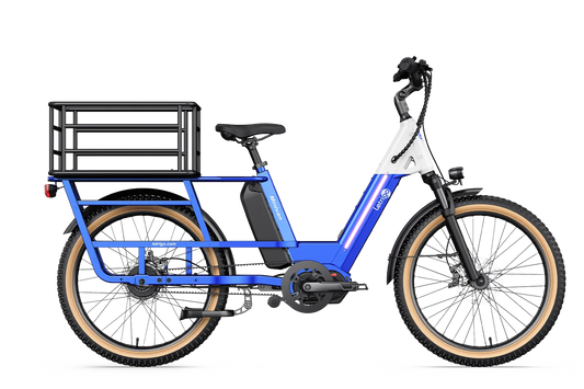 Letrigo Minivan- Rental