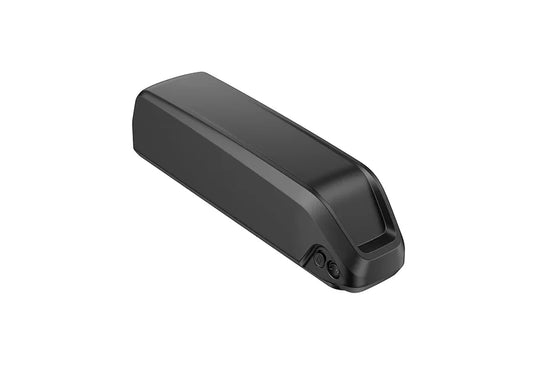Letrigo Replacement Battery