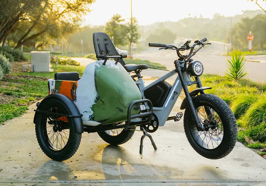 Letrigo Sidecar - E-Bike Sidecar for Family Adventures