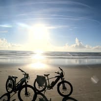 Ride1Up Cafe' Cruiser XR- Parts or Rehab