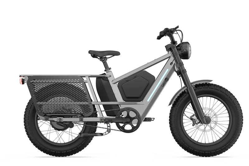 Letrigo KODA Fat Tire Cargo E-Bike