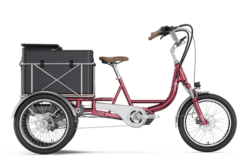 Letrigo Robin E-Bike