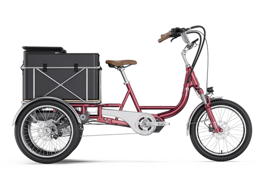Letrigo Robin E-Bike