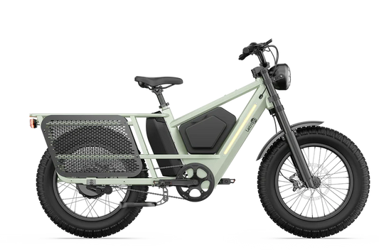 Letrigo KODA Fat Tire Cargo E-Bike